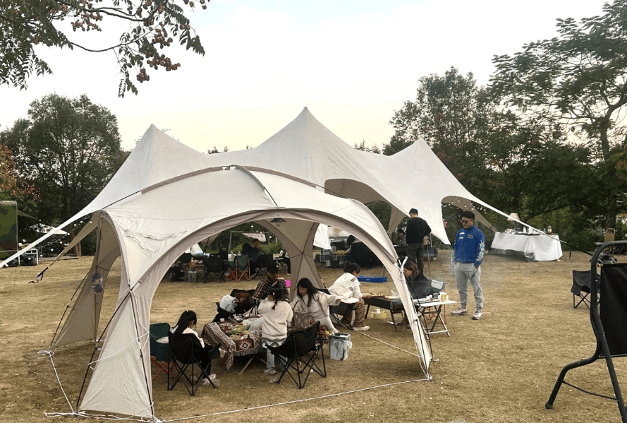 门“篷友”共筑文明露营新风尚新葡京娱乐城与自然为邻 厦(图3)